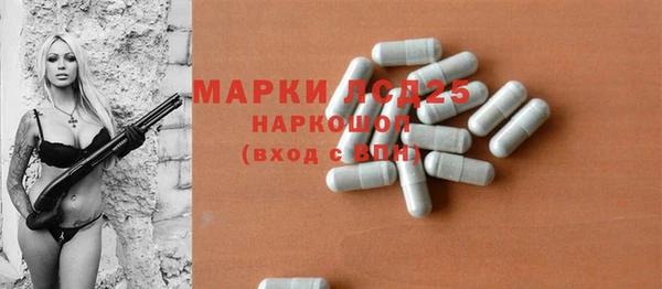 индика Абаза