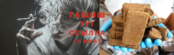 индика Абаза