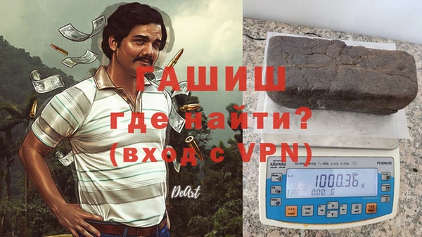 индика Абаза