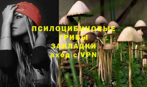 дурь Алексин