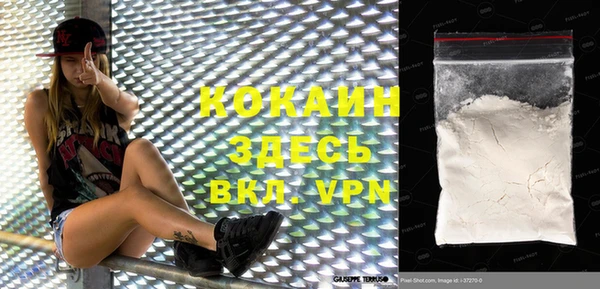 индика Абаза