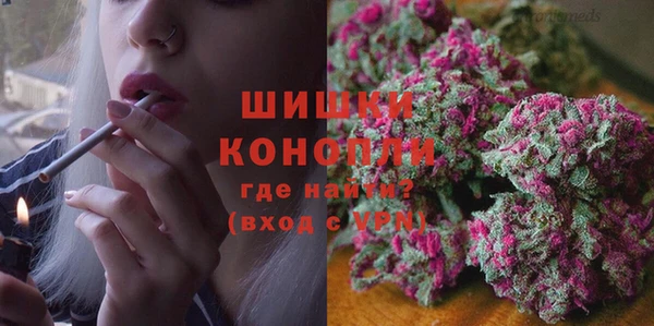 индика Абаза
