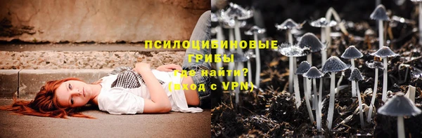 индика Абаза