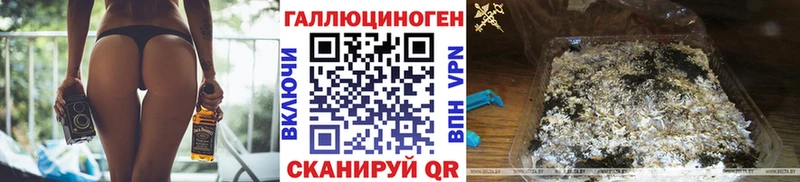 купить закладку  Отрадное  Псилоцибиновые грибы Psilocybe 