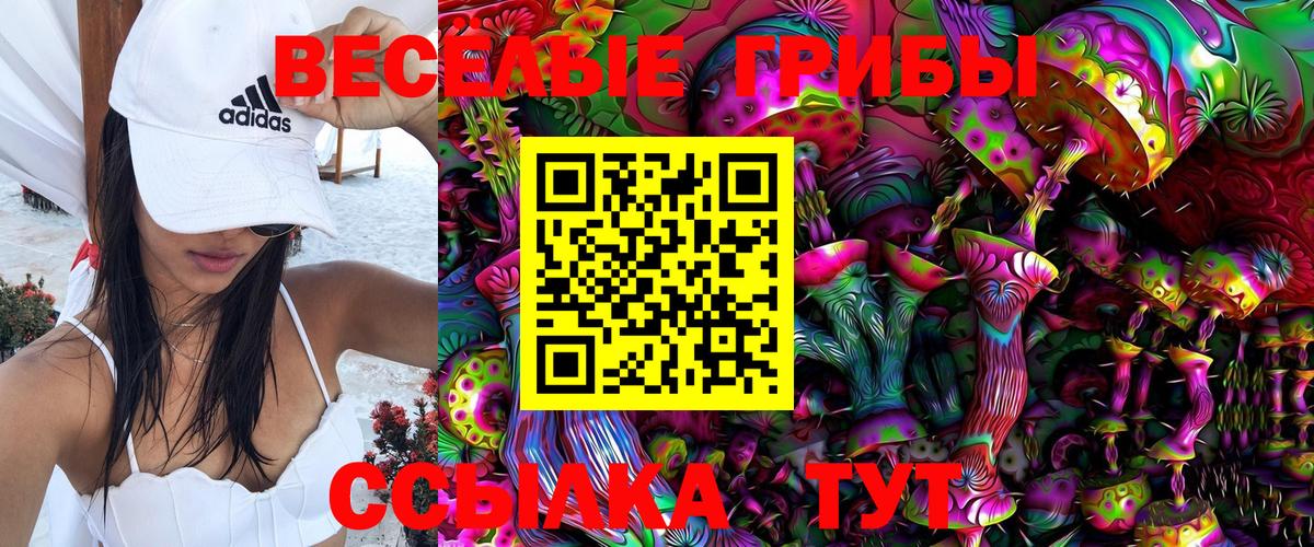 Отрадное  Галлюциногенные грибы Cubensis  Вход с VPN 